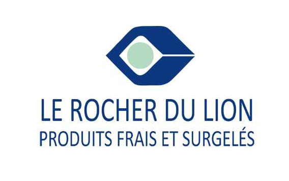 Rocher lion